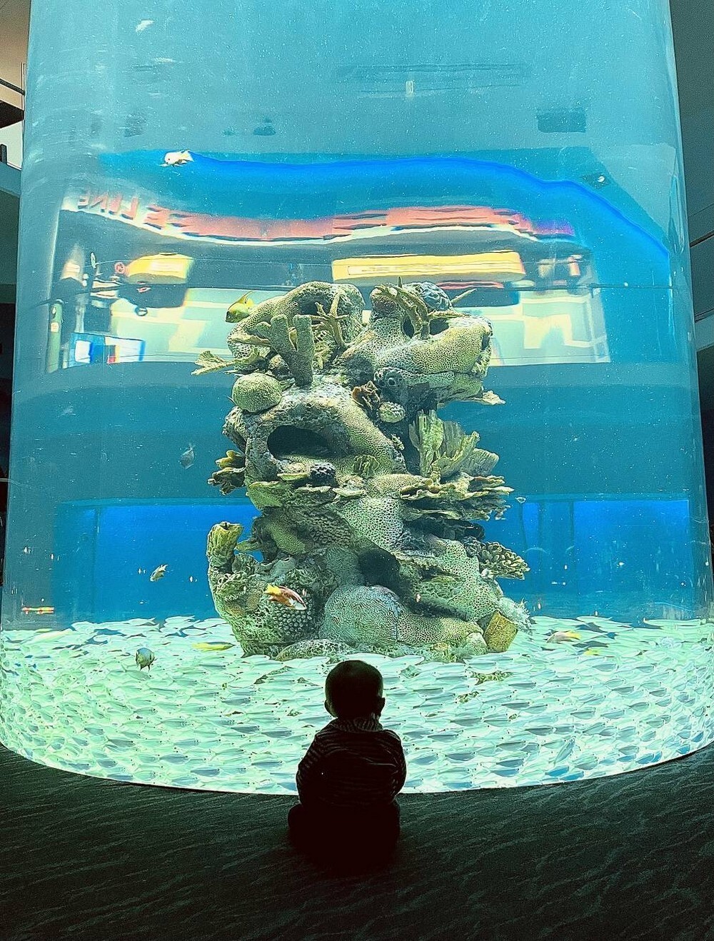 Фотоподборка от Димон за 12 декабря 2021