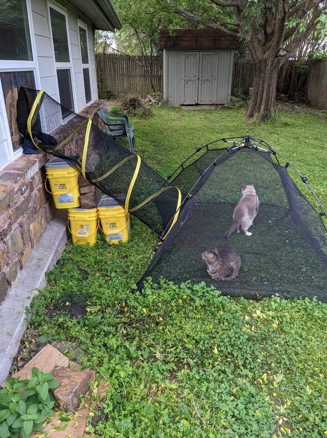 «Заберите мои деньги, только дайте мне это!»: 17 прикольных вещиц