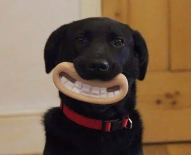 «Заберите мои деньги, только дайте мне это!»: 17 прикольных вещиц