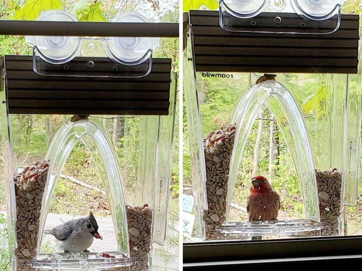 «Заберите мои деньги, только дайте мне это!»: 17 прикольных вещиц