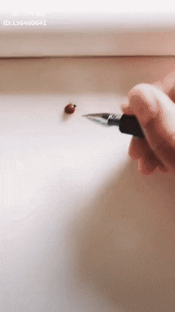 580adddbb933c9a53c96b6ce99d029f9.gif