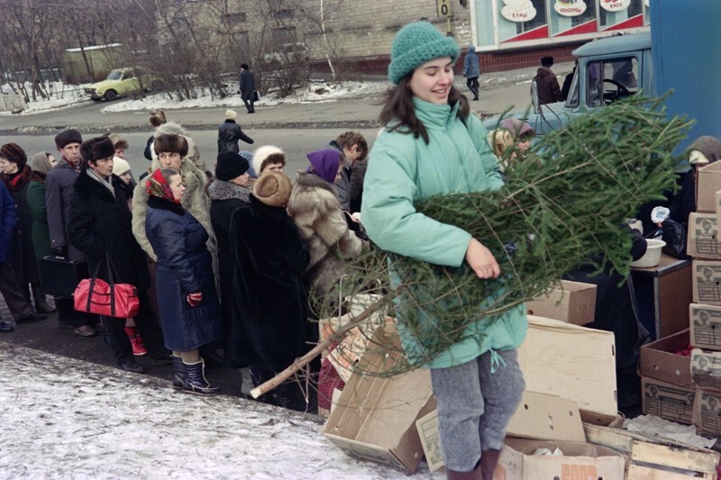 Молодая девушка несет новогоднюю елку. 24 декабря