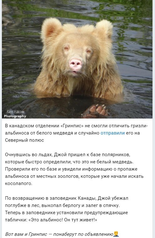 Политический новостной мониторинг. Выпуск 56
