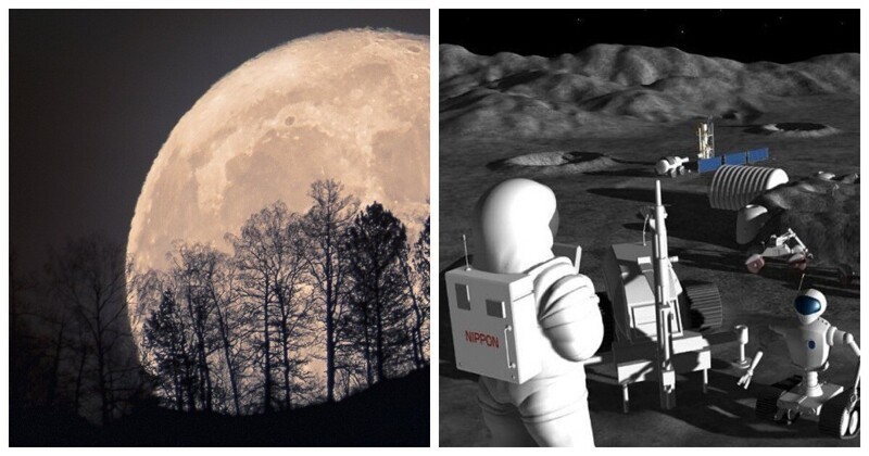 Вот, новый луноход: в Нидерландах завершились соревнования роботов для разведки на Луне