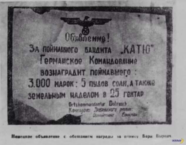Реальное объявление, которое немецкая комендатура развешивала в Добрушском районе Гомельской области во время оккупации.