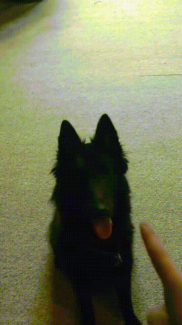 Просто гифки, всякие и разные Просто гифки, всякие и разные