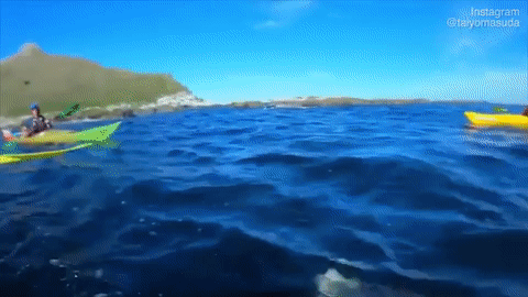 Просто гифки, всякие и разные Просто гифки, всякие и разные