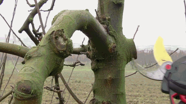 Просто гифки, всякие и разные Просто гифки, всякие и разные