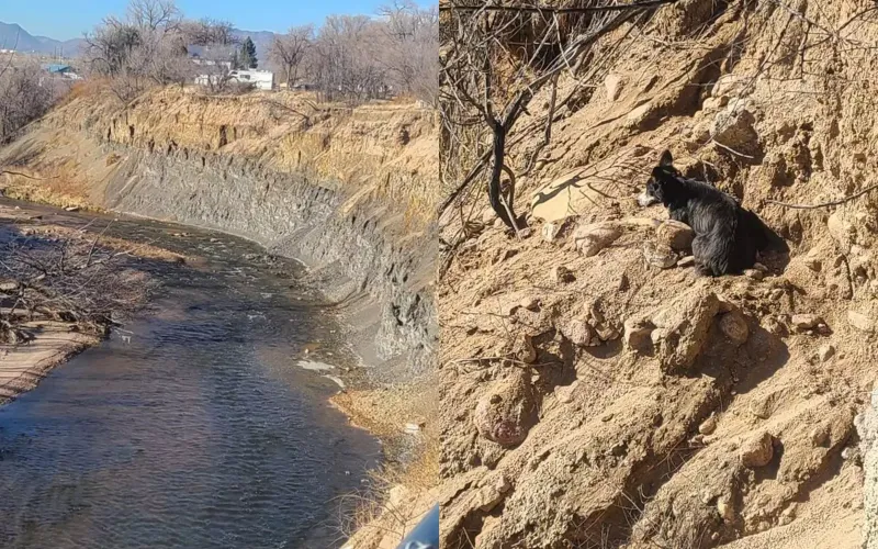 Мужчина спас собаку, застрявшую на обрыве скалы