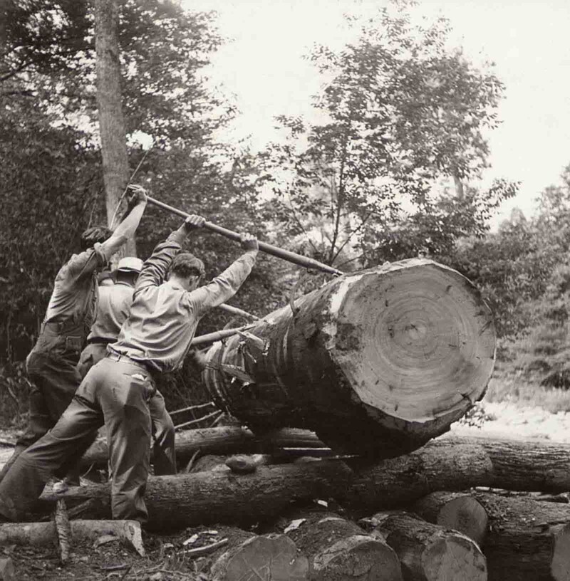 Группа рабочих на лесозаготовке в 1930-х годах перемещает бревно в реку в Западной Вирджинии