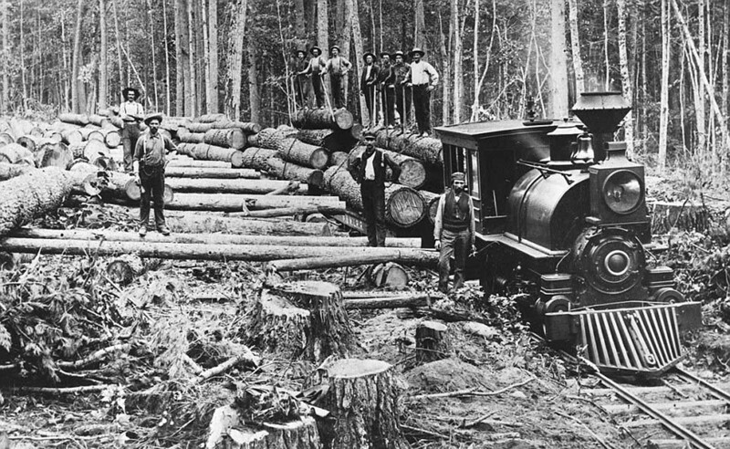 Лесорубы в Мичигане загружают бревна в поезд, чтобы доставить их на лесопилку