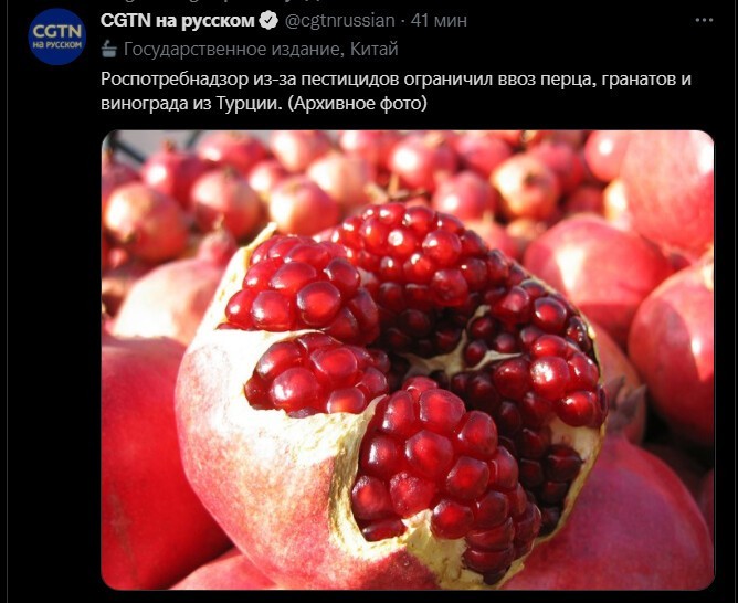 Политический новостной мониторинг. Выпуск 61