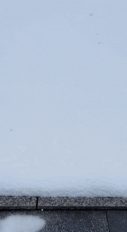 Чуваку теперь не сдобровать