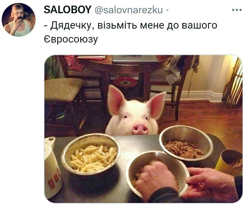 Политический новостной мониторинг. Выпуск 62