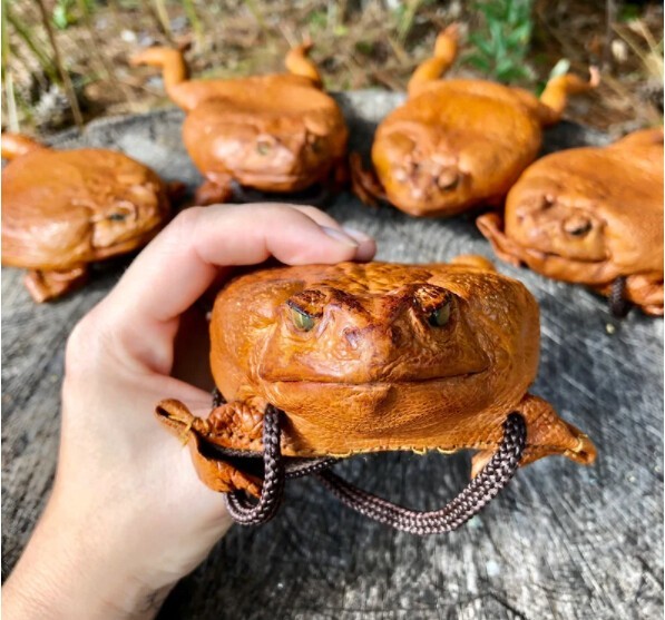 Кошельки сделаны из жаб