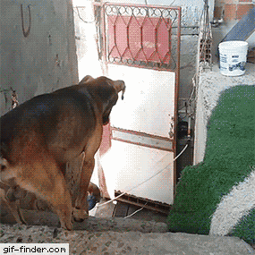 Когда вы очень любите друг друга