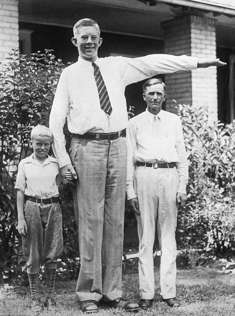 Нежный гигант: самый высокий человек в истории