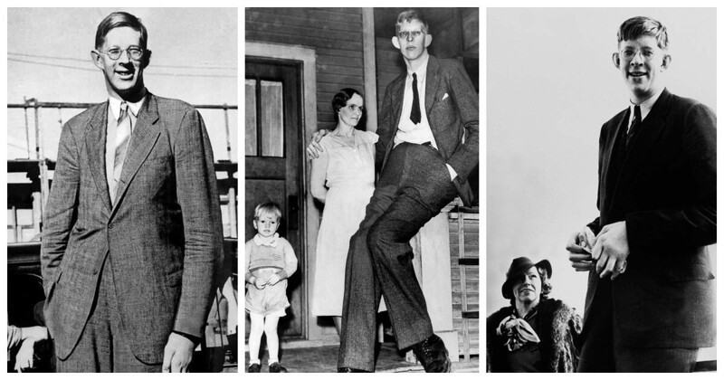 Роберт Уодлоу, самый высокий человек в мире, родился в Альтоне, штат Иллино...