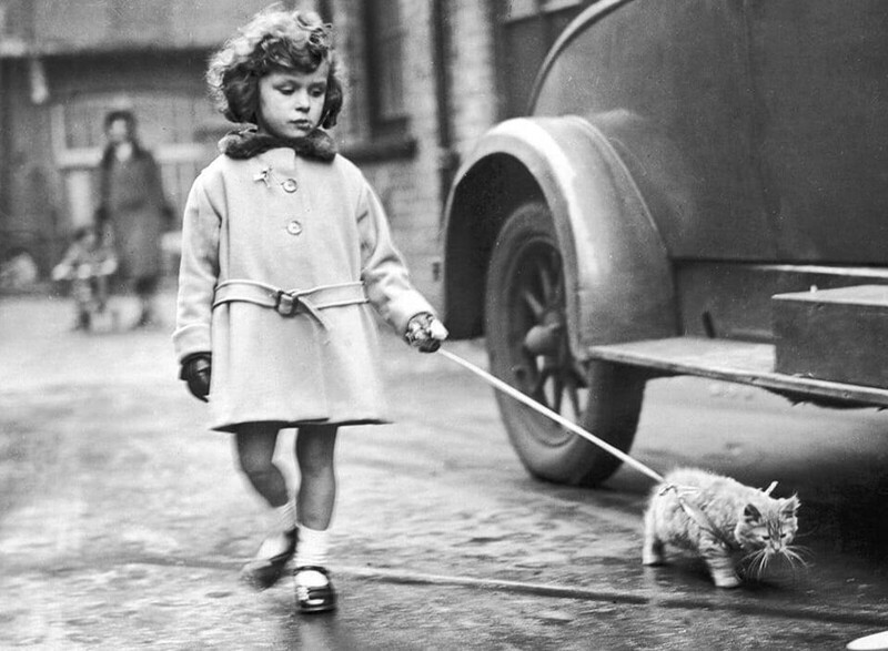 Девочка с котом. Лондон, 1930 г.