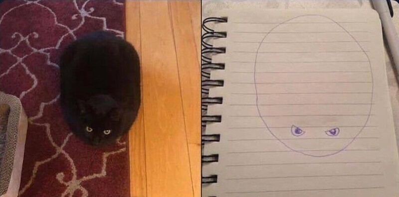 "Вот как дочь нарисовала нашего кота"