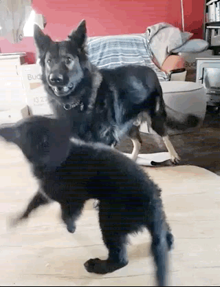 Просто гифки, всякие и разные