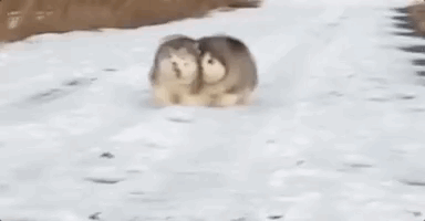 Просто гифки, всякие и разные