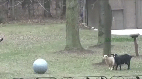 Просто гифки, всякие и разные