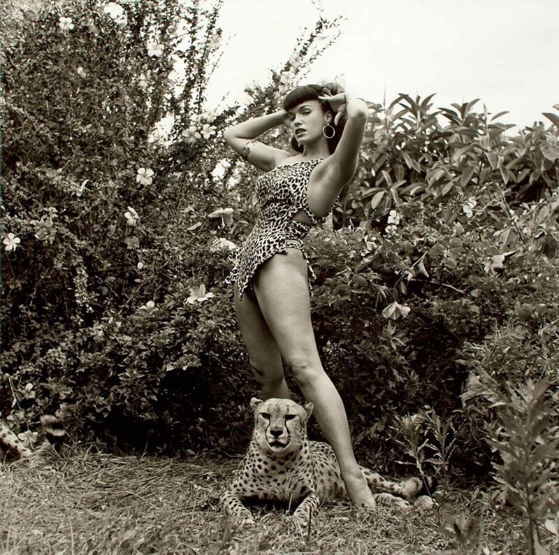 Американская фотомодель Бетти Пейдж и гепард, 1954 год.