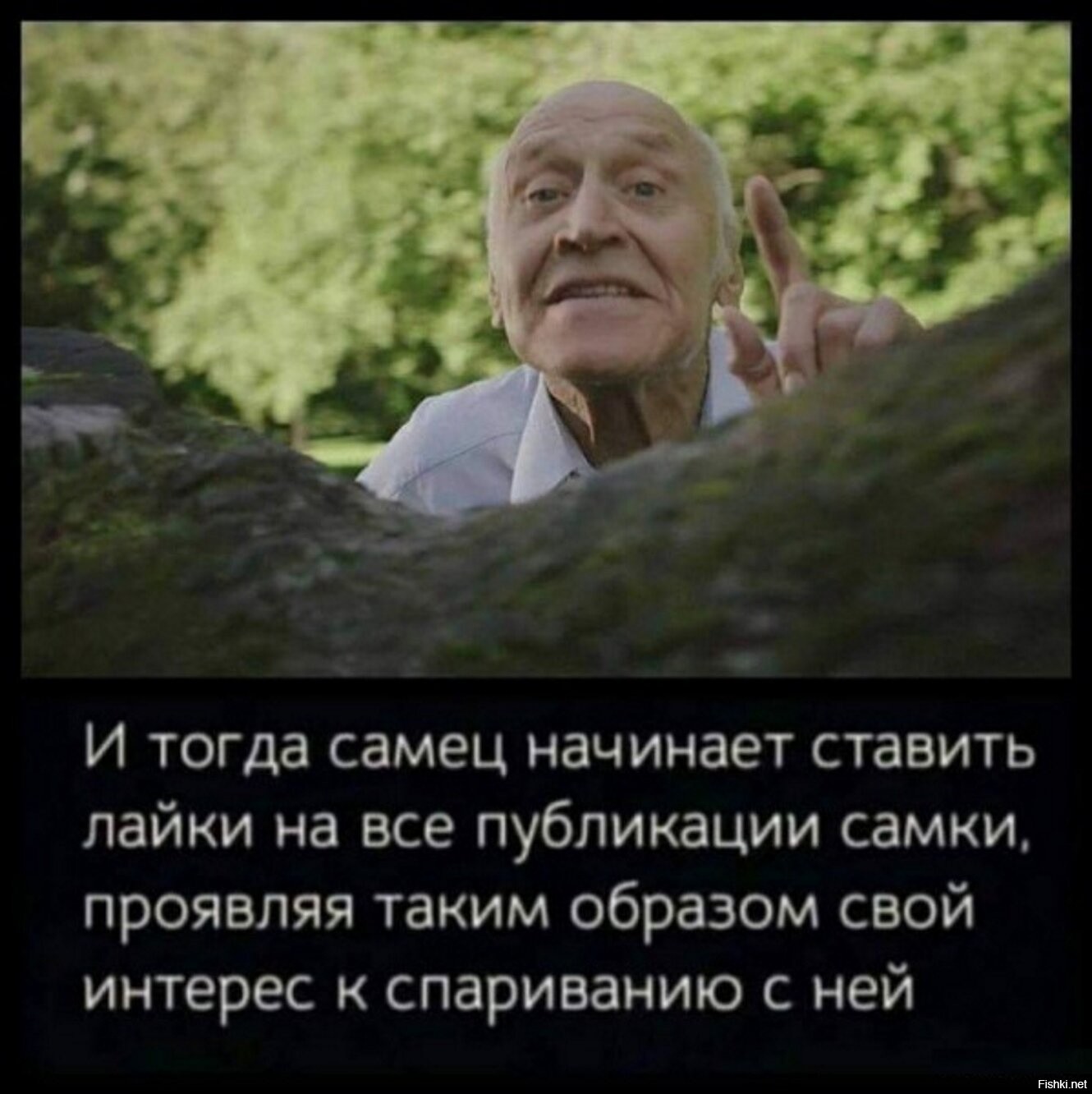 Дроздов Мем