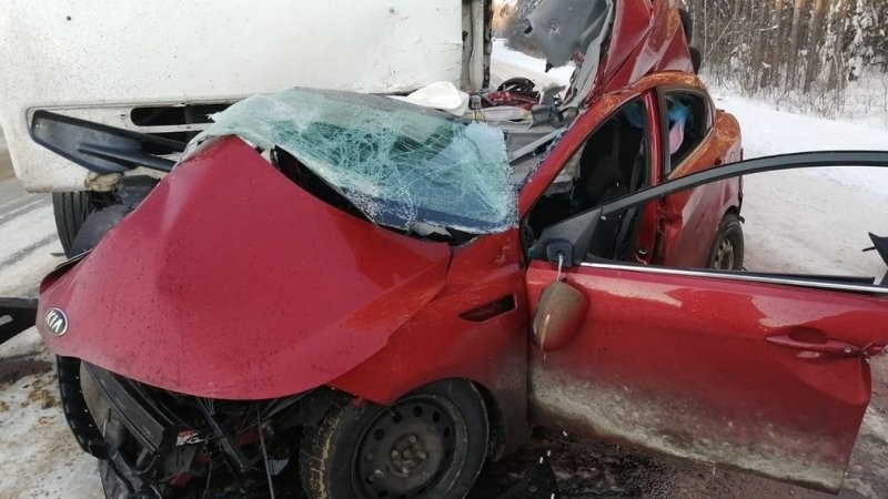 Авария дня.  Страшная трагедия на трассе в Нижегородской области
