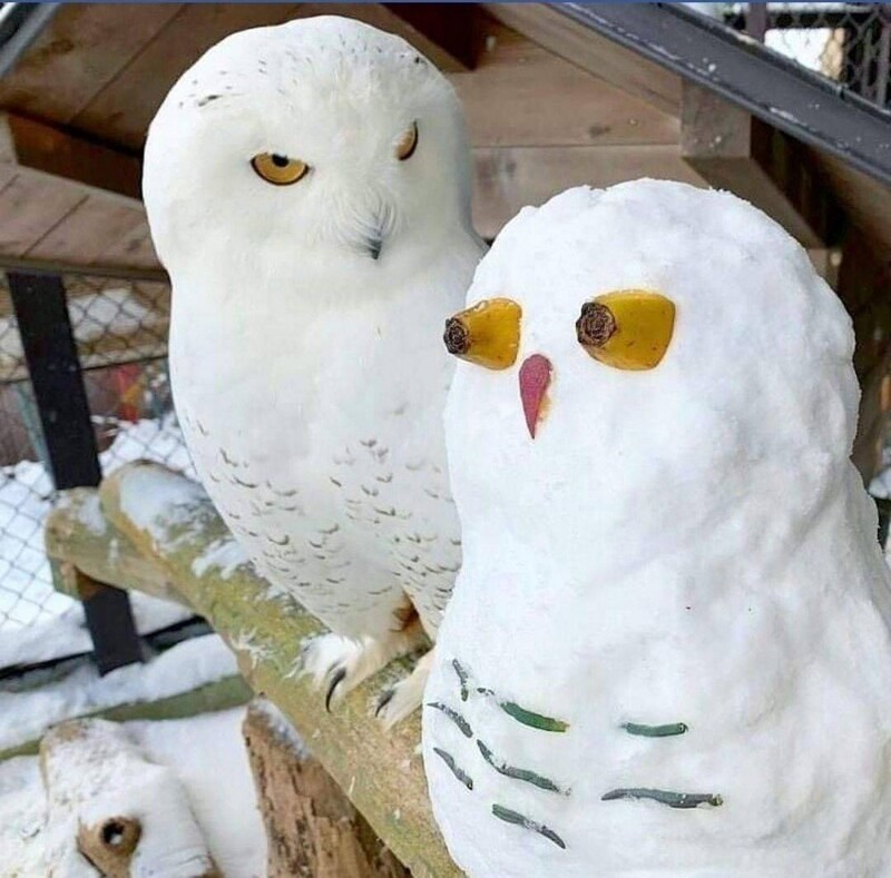 Фотоподборка