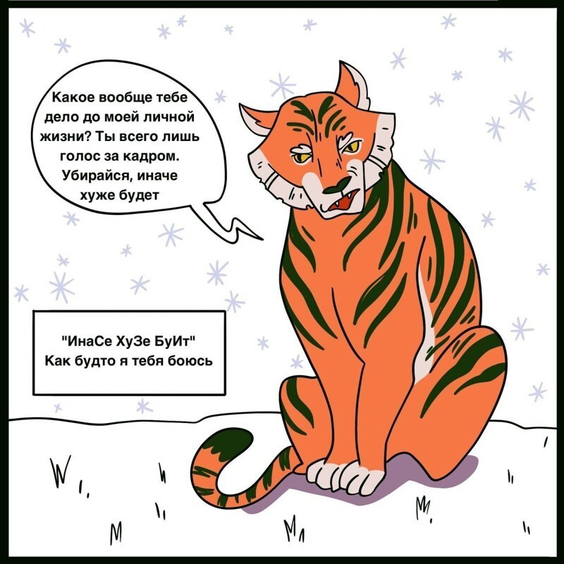 Интересные факты про самого редкого хозяина наступающего года — амурского тигра