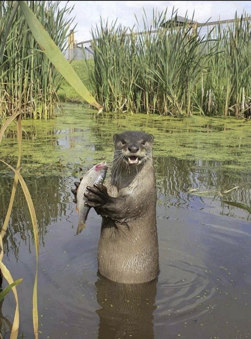 Фотоподборка от Димон за 01 января 2022