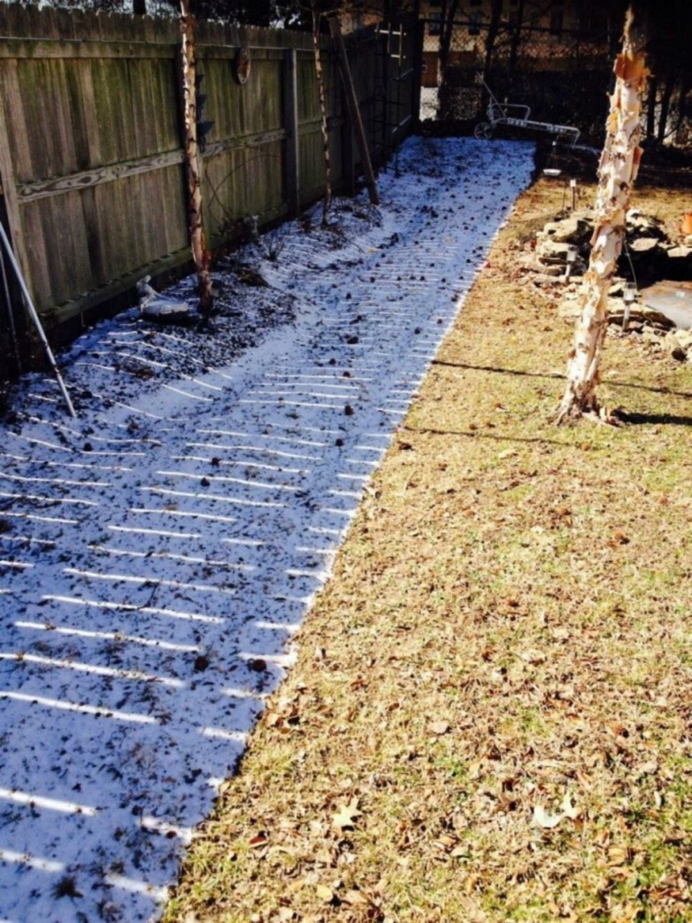 Фотоподборка от Димон за 01 января 2022