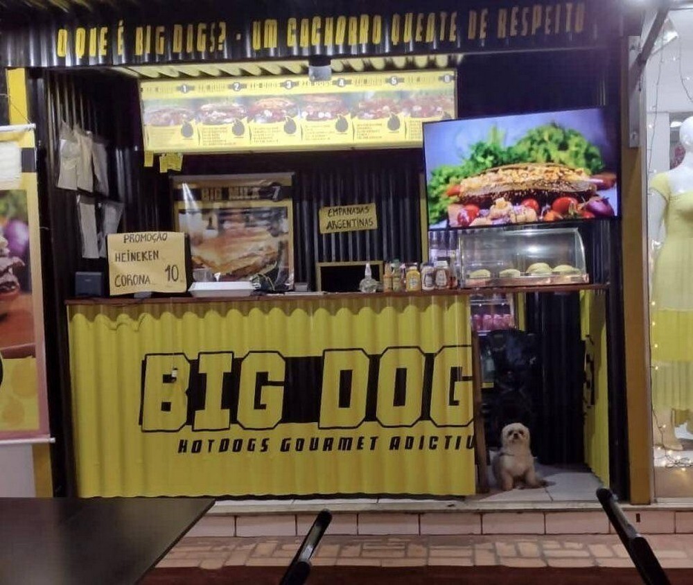 Фотоподборка от Димон за 01 января 2022