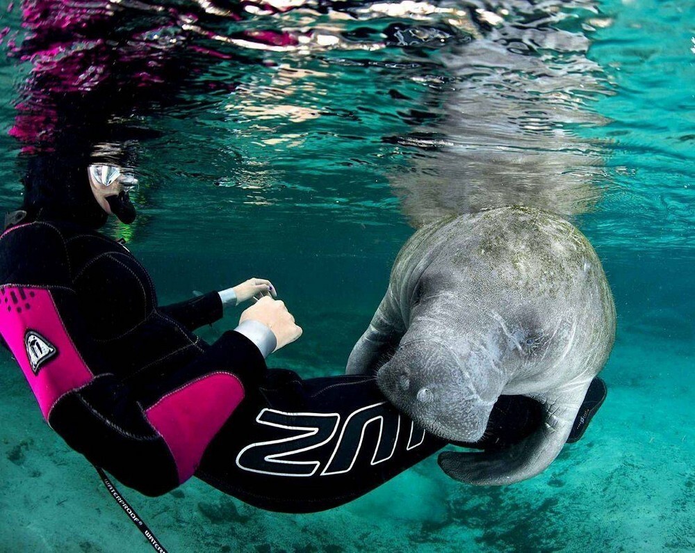 Фотоподборка от Димон за 01 января 2022