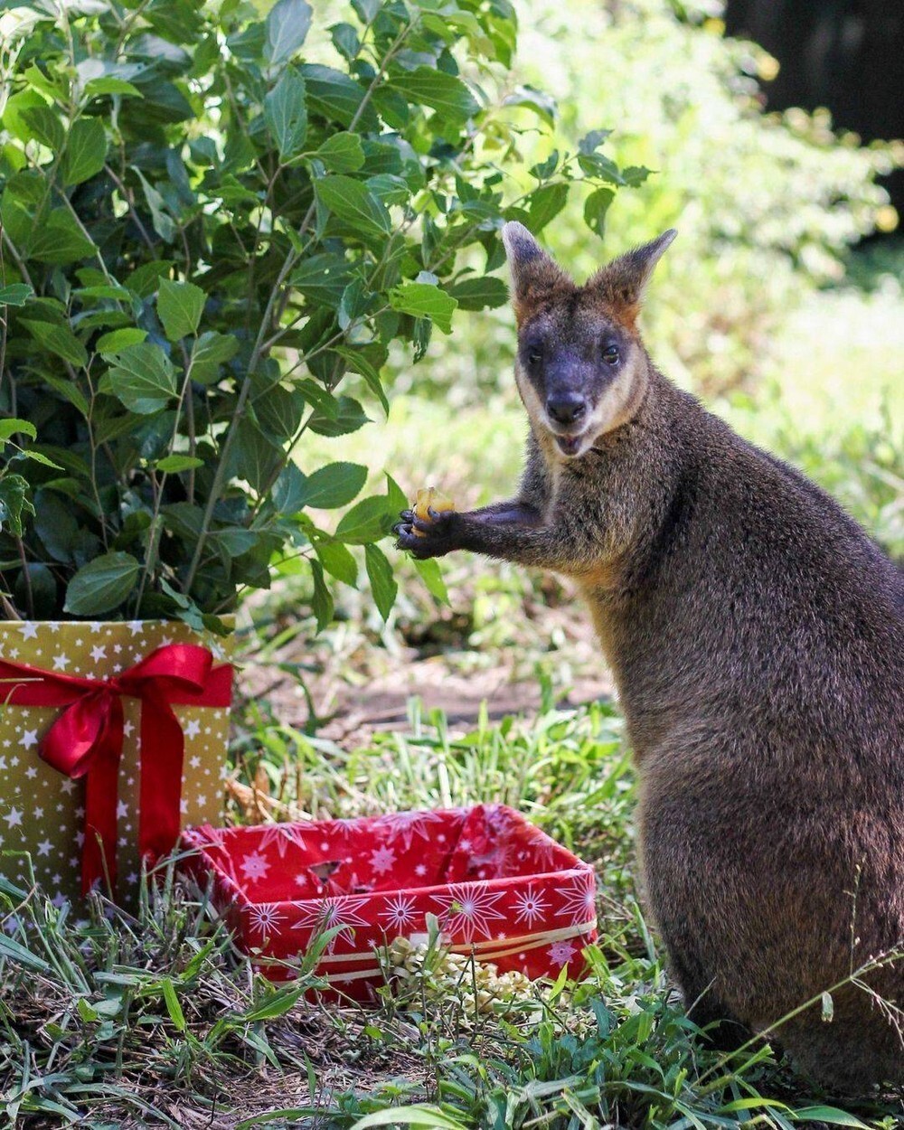 Фотоподборка от Димон за 01 января 2022