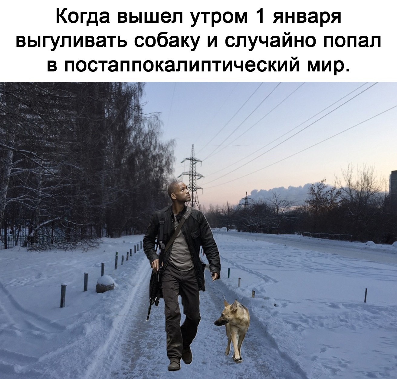 Доза позитива и юмора в прикольных картинках