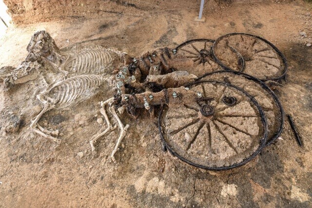 Фракийская колесница 2000-летней давности со скелетами лошадей. Найдена в Караново, Болгария