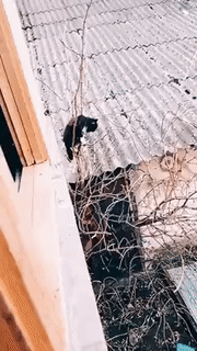 Просто гифки, всякие и разные