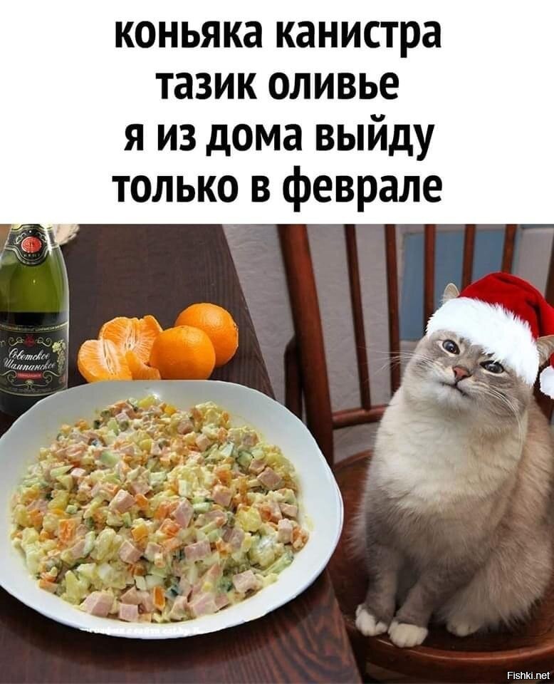 Оливье картинки смешные