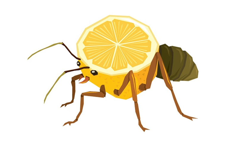 Лимонный муравей: Превращают участки лесов в жуткие «Сады дьявола». Выжженные кислотой государства муравьёв