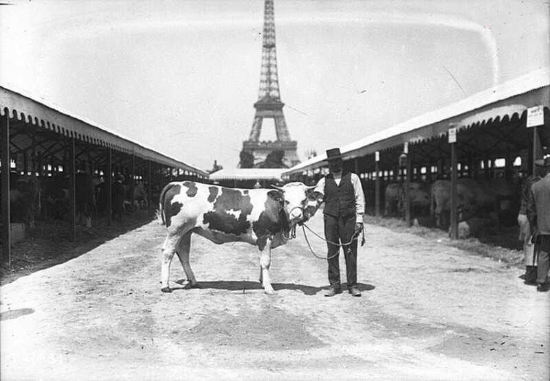 Животноводческая выставка на Марсовом поле в Париже, 1912 г.
