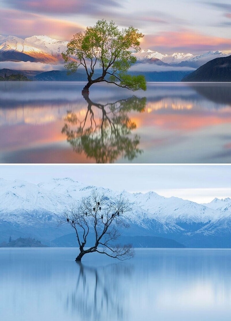 Озеро Ванака, Новая Зеландия