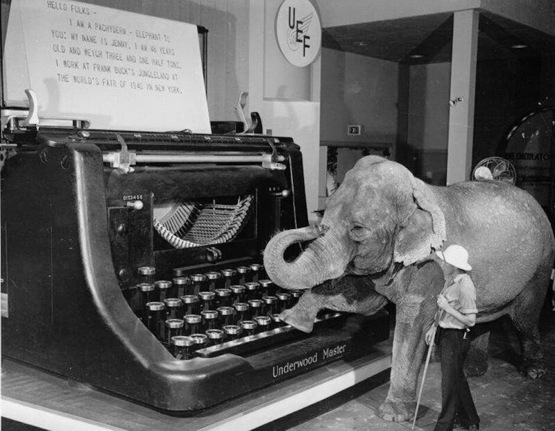 Слон печатает сообщение на гигантской пишущей машинке во время Всемирной ярмарки 1940 года в Нью-Йорк.