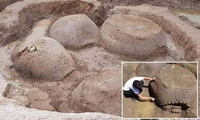 Аргентинский фермер нашел это 20 000-летнее семейство гигантских броненосцев, похороненных у реки. Все они смотрели в одном направлении, самый большой из них был размером с Volkswagen, и весил более 2 тонн