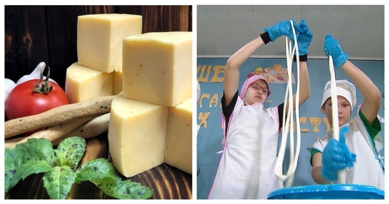 Сырный факультатив в сельской школе Иркутской области дает вкусные плоды