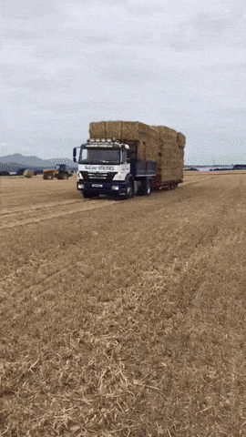 Просто гифки, всякие и разные