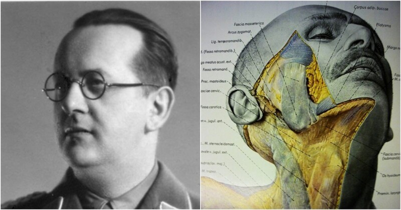 Атлас Пернкопфа: нацистская книга по анатомии, которой до сих пор пользуются хирурги