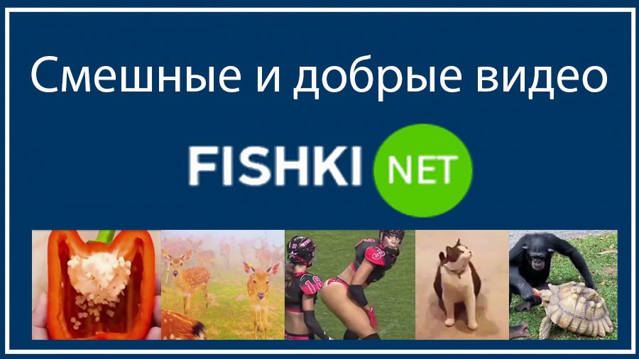 Смешные и добрые видео от ElBundy за 12.01.2022 1711 на